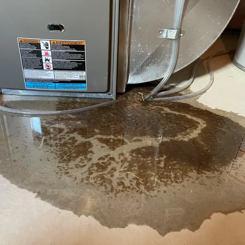 Appliance Leak Cleanup in Tipton, IN