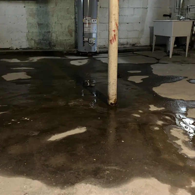 Emergency Water Extraction And Removal in Tipton, IN
